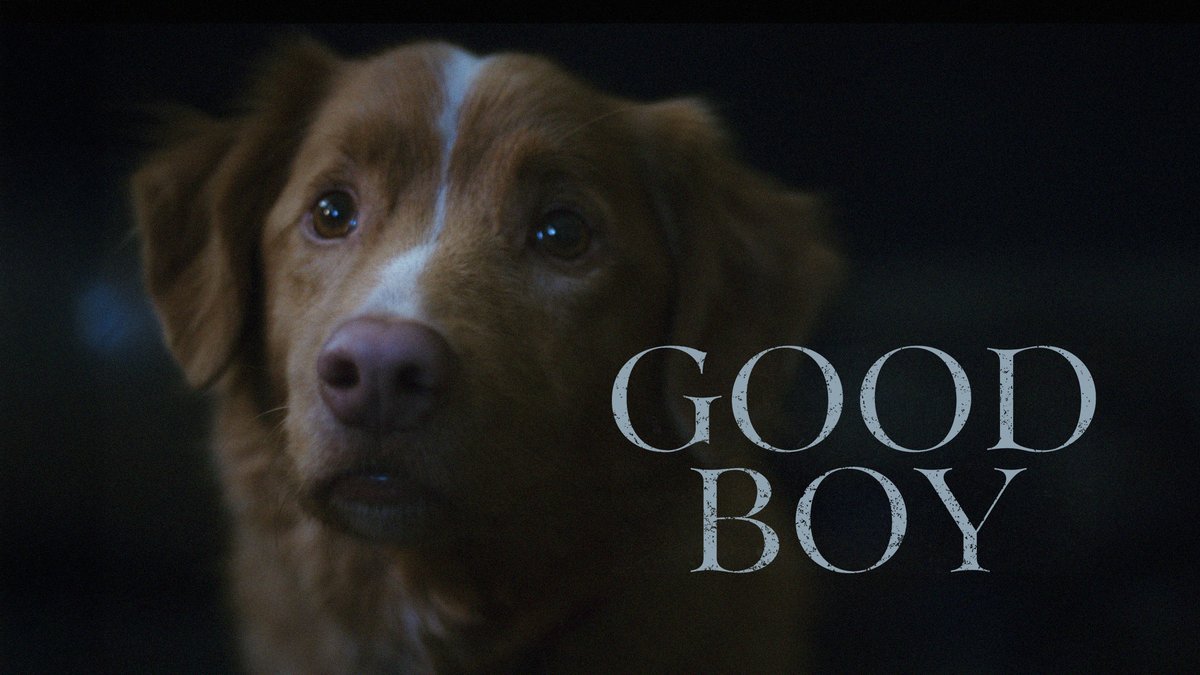 Lo más inquietante que veréis este año se llama “Good Boy” y es la primera película de terror rodada desde la perspectiva de un perro. La estrenamos en cines el 17 de octubre coincidiendo con su paseo por el Sitges Film Festival.