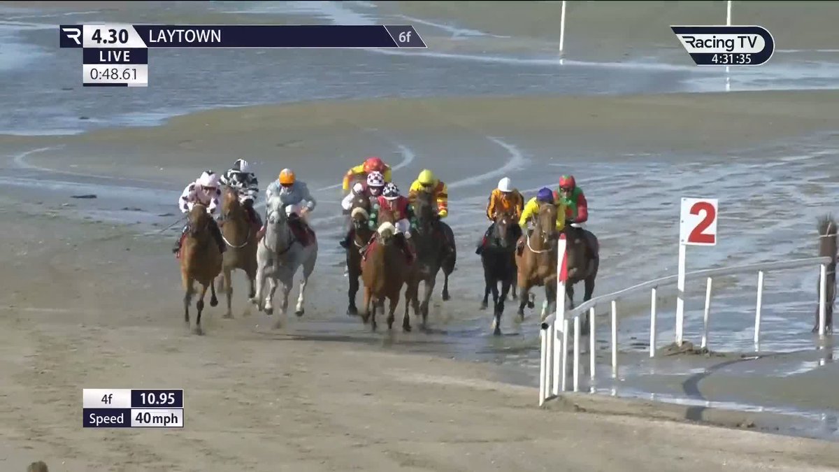 OMG! Have you seen this? THEY ARE RACING ON THE BEACH Why didn’t anyone tell us about this?
