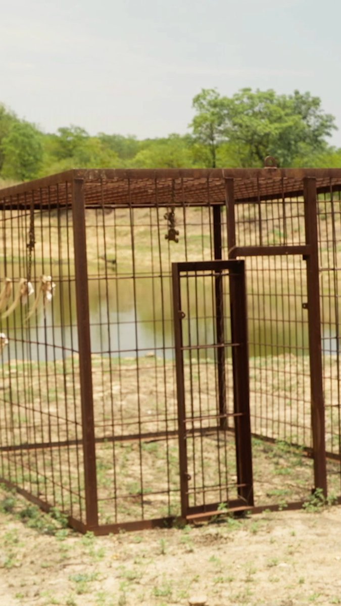 Survival means sleeping in a creepy cage 😱 New #NakedAndAfraid: Apocalypse this Sunday at 8P on Discovery!