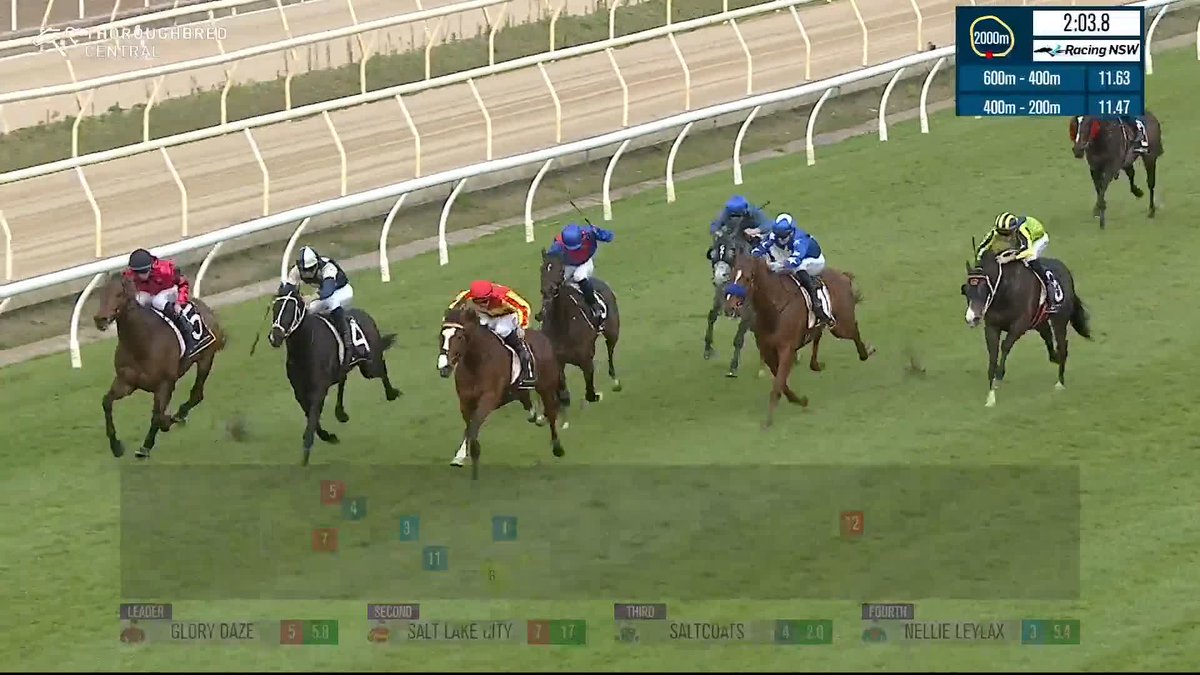 Saltcoats WINS the Wyong Cup for Chris Waller Racing &amp; James McDonald! 🏆