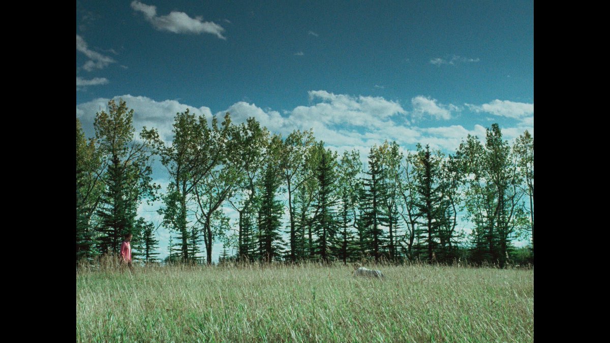 Jennifer Lawrence. Robert Pattinson. DIE MY LOVE. The visceral new film from Lynne Ramsay. Only in theaters November 7. A MUBI Release.