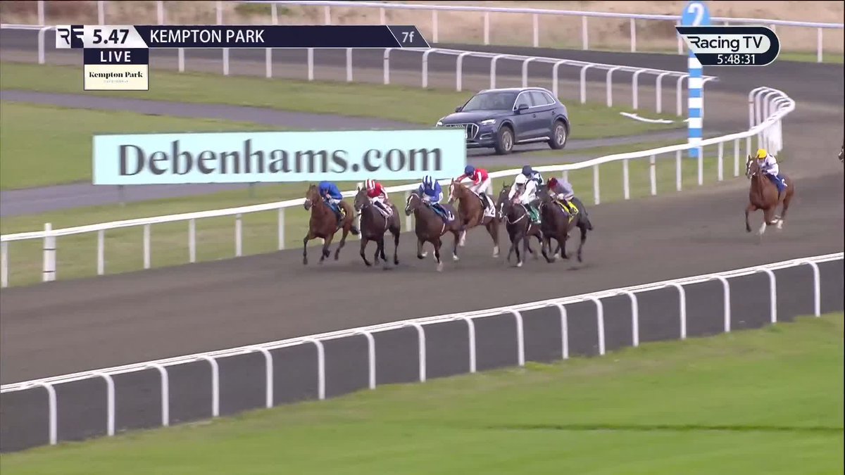 Look To The ✨ Recently-gelded Look To The Stars digs deep to see off well-backed newcomer Joulany and open his account for the Godolphin team. William Buick | Kempton Park Racecourse