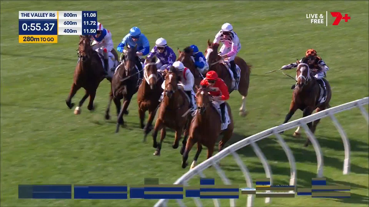 ROSBERG 🏎️ What a debut! Rosberg motors home to win the McKenzie Stakes and Clinton McDonald has another smart one on his hands👏 C McDonald Racing Jamie Melham
