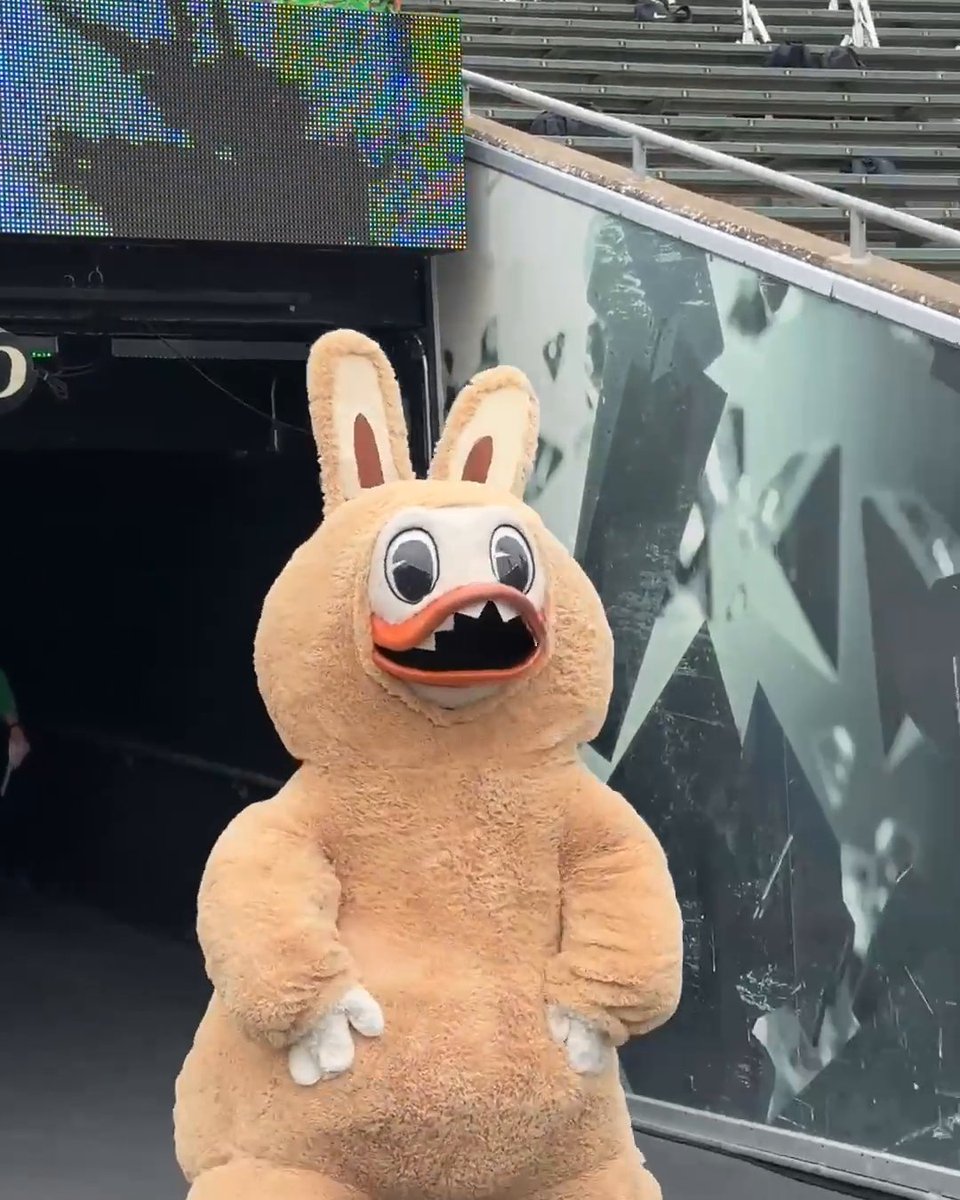 The Oregon Duck dressed as a Labubu ๐ ๐ญ (via Bri Amaranthus)