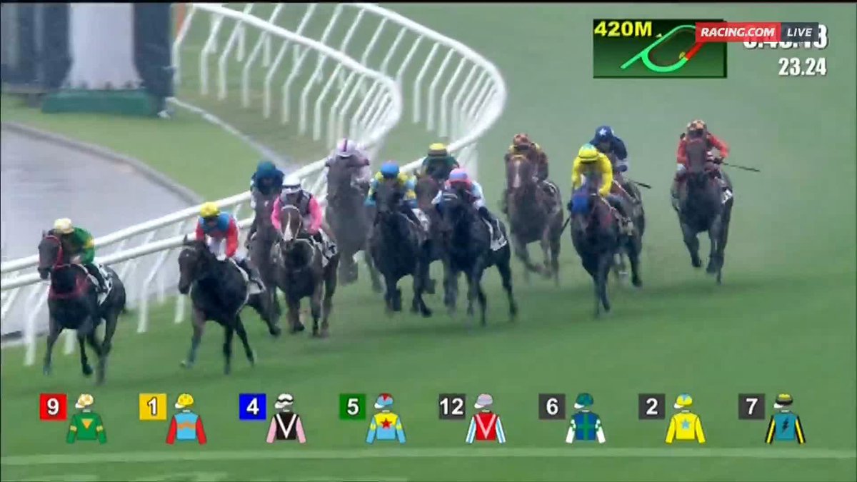 Chief Executive's Cup | Ka Ying Rising The King returns in style with an easy win, ahead of his Australian mission 🏔️ 📺 Ch. 78/68, Foxtel 529, Kayo or via our app