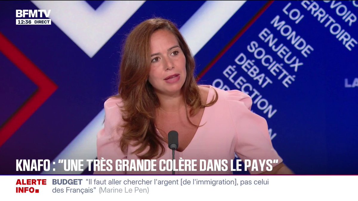 Dette: "La France n'a pas un problème de recettes, elle a un problème de dépenses", assure Sarah Knafo (Reconquête)