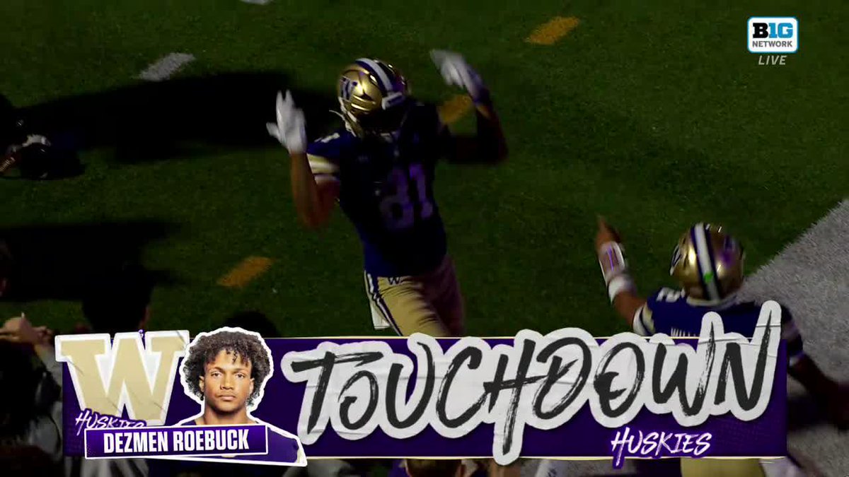 It happened late last night, so you may have missed it. Enjoy Washington Football freshman WR Dezmen Roebuck showing off his athleticism on this highlight-reel TD 😱