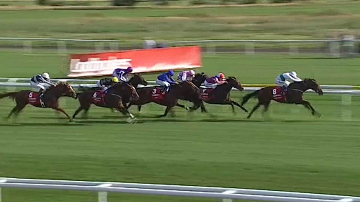 Oh Camelot, so close! 🫣 Throwback to that Triple Crown denying victory from Encke in the 2012 Leger at Doncaster Racecourse...
