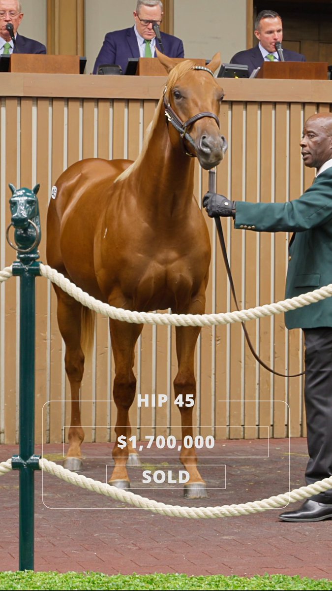 Hip 45, a Flightline colt out of Mira Alta from Warrendale Sales, soars to $1.7M at #KeeSept - purchased by Naohiro Sakaguchi!
