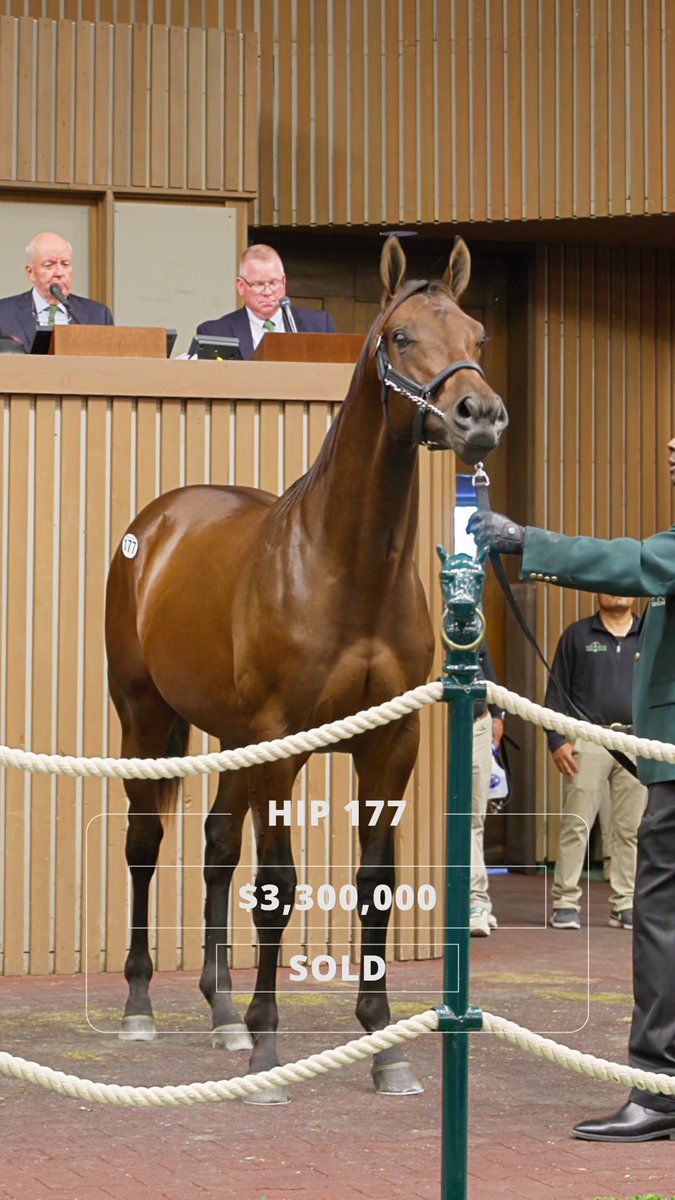 Closing out Day 1 with a bang! Hip 177, a Gun Runner colt from Hill 'n' Dale Farms, hammers down at $3.3 million to M.V. Magnier/White Birch/Winchell Thoroughbreds.