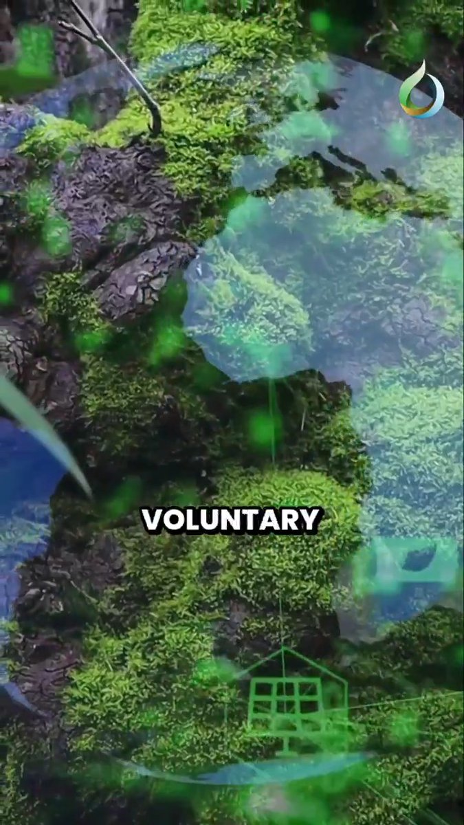 For the voluntary carbon market (VCM) to fulfil its promise, it must evolve from opaque and fragmented to transparent and trusted. And for Canada, this could be a once-in-a-generation chance to lead. Read more from Yingzhi Tang, Senior Research Associate of Institute for Sustainable Finance
