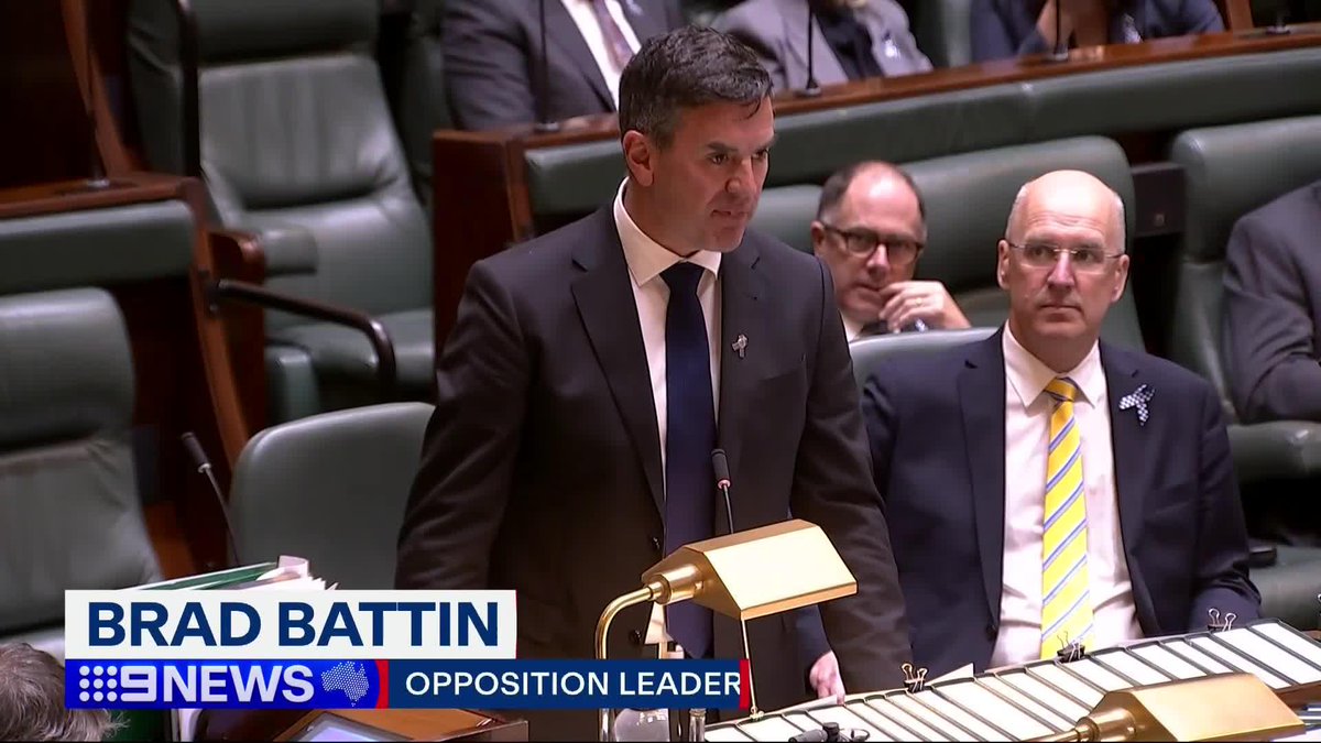 Tensions have boiled over in state parliament, as the Premier and Opposition Leader faced off over the state's youth crime crisis. #9News