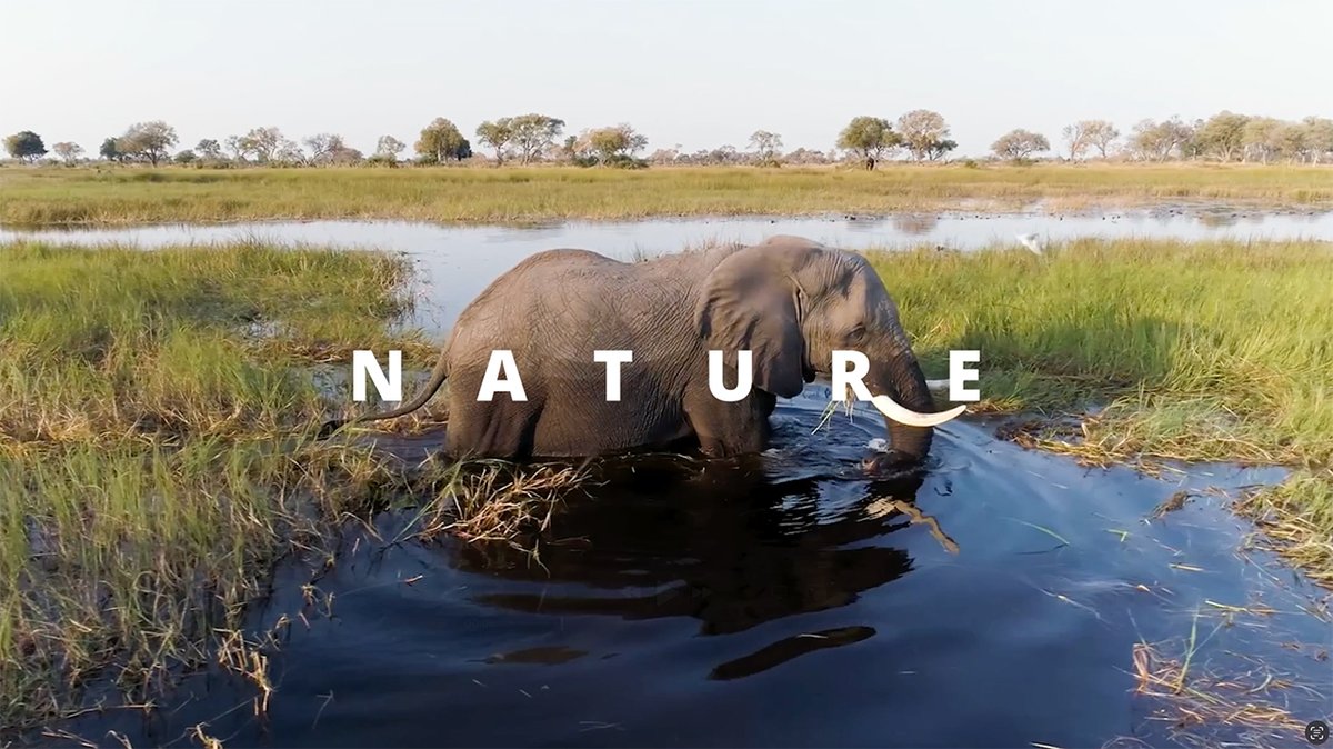 Nature gives us so much. Now is the time to give back. Nature Needs Us Now. Learn more: #NatureNeedsUsNow