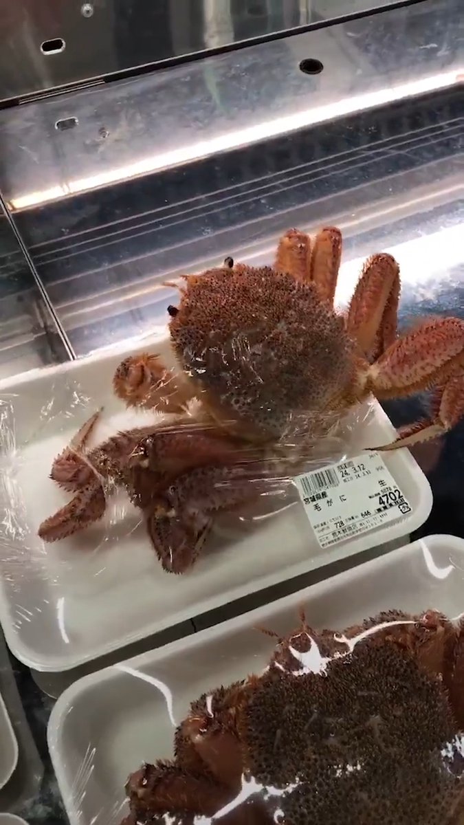 This crab fought with everything they had to stay alive 🦀