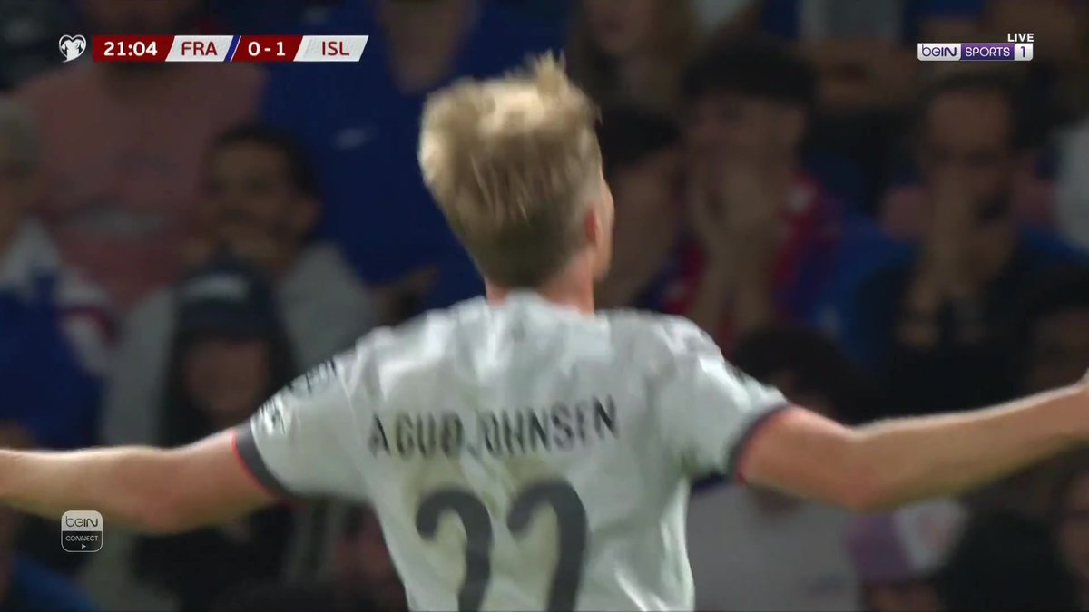 جنوووووووووون يا أوليسي مستحيييييييل؟؟؟؟؟؟ أيسلندا تتقدم على فرنسا بهذا الشكل 😱⚽️