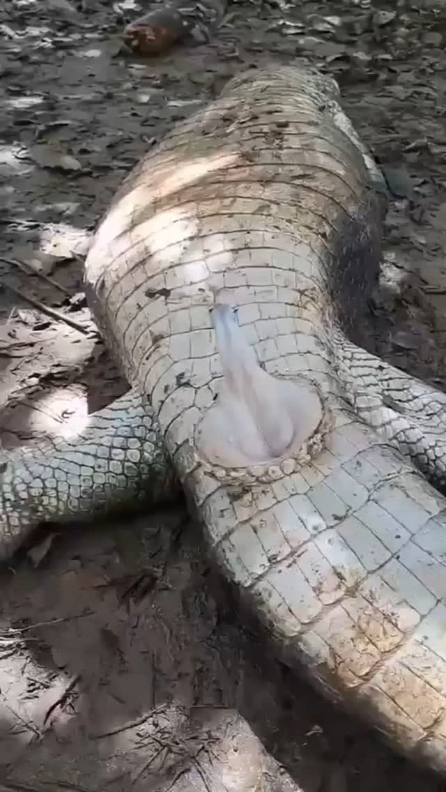 I have so many questions