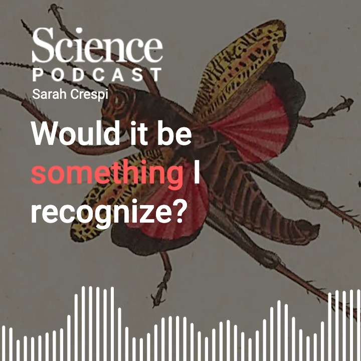 In the latest #SciencePodcast🎙️, researcher Christine Elliott talks about how music connects people to bugs in ways that posters and public lectures can’t. 🎧 Take a listen: