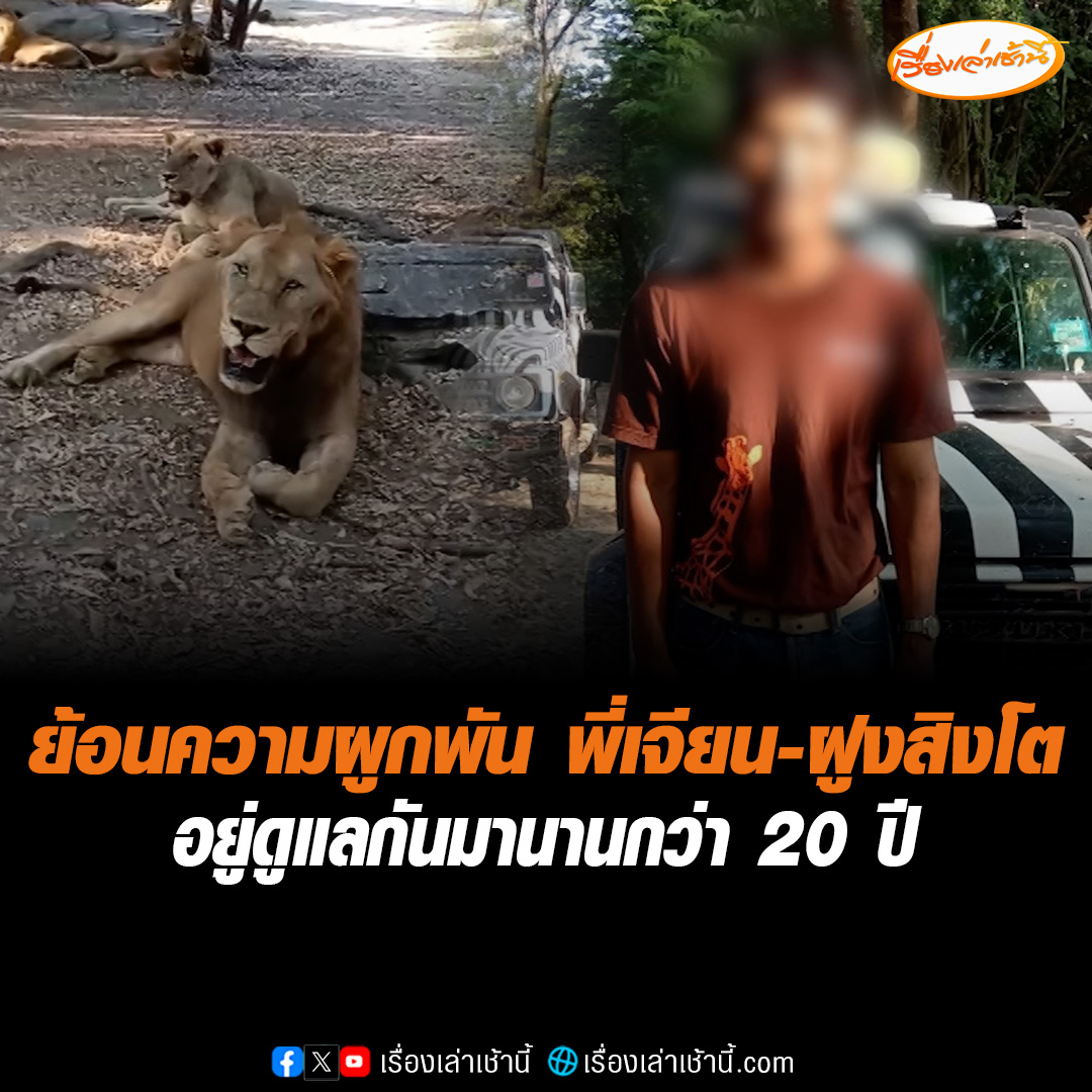 ย้อนดูคลิปความผูกพัน "พี่เจียน" ทำหน้าที่ดูแลสัตว์ดุร้าย "สิงโต-เสือ" ดูแลกันมานานกว่า 20 ปี ก่อนเกิดเหตุสลด เคยอัดคลิปชื่นชม "สิงโตน่ารัก" #เรื่องเล่าเช้านี้ #ข่าวช่อง3 #ข่าวสังคม #สวนสัตว์ดัง #สิงโต