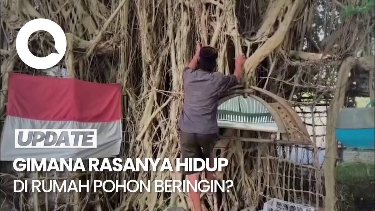 Seorang warga Dusun Nganting, Desa Kenongo, Kecamatan Tulangan, Sidoarjo, bernama Jalal, memilih hidup di rumah pohon beringin. Ia membangun sendiri rumah tersebut dari akar pohon. >>