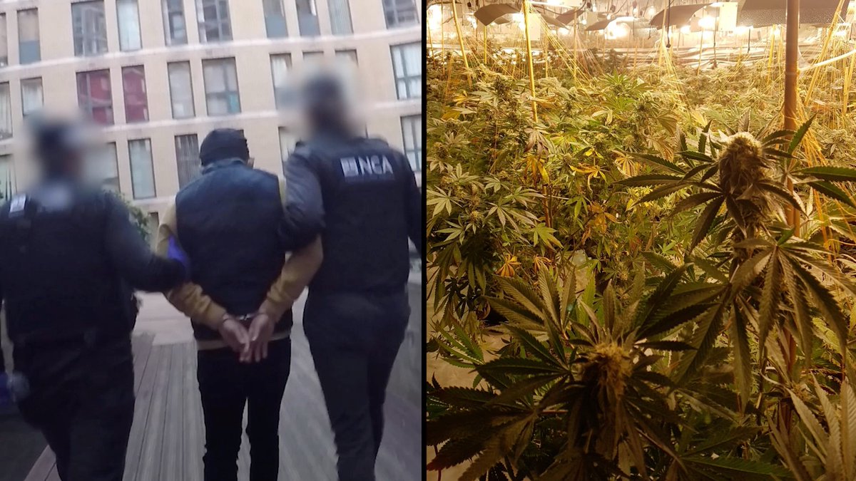 Roman Le, who ran a multi-million-pound cannabis network staffed by illegal migrants, was jailed for more than 6 years. An National Crime Agency (NCA) investigation found that he headed a network that operated at least 8 farms, including a former Coventry nightclub with 1,500 plants.