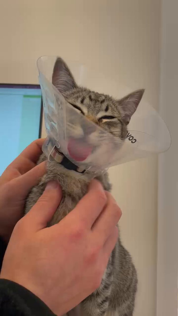 Oh to be an itchy baby well loved