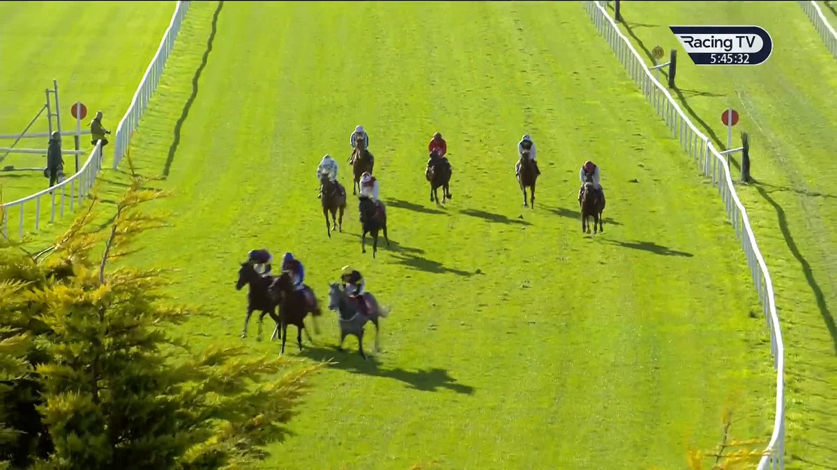 ✅ 270,000gns buy Black Caviar Gold (Havana Grey) opens the account at the third time of asking Cork Racecourse Paddy Twomey Racing