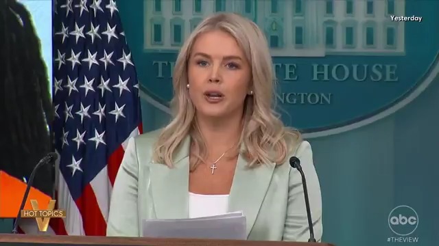 STABBING CRIME BEING USED FOR POLITICAL GAIN? As the Department of Justice charges a man in the stabbing of a Ukrainian refugee, 'The View' co-hosts react to the White House blasting outlets over crime coverage.