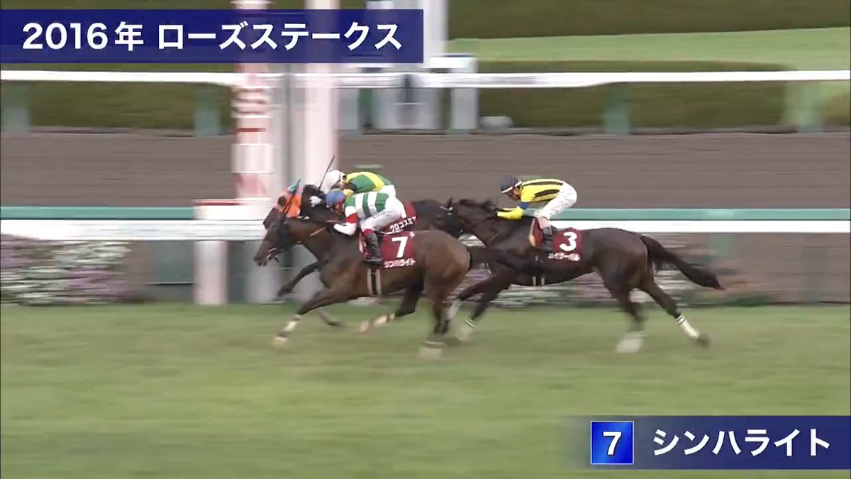 ————————————— ⠀ 記憶に残る一戦🏇 ————————————— 2016年のローズステークスは #シンハライト が勝利🏆✨ 強烈な末脚を発揮してオークス馬の威厳を示しました！ 今年7月にはエピファネイアとの仔 #アランカール が新馬戦を勝利しています！