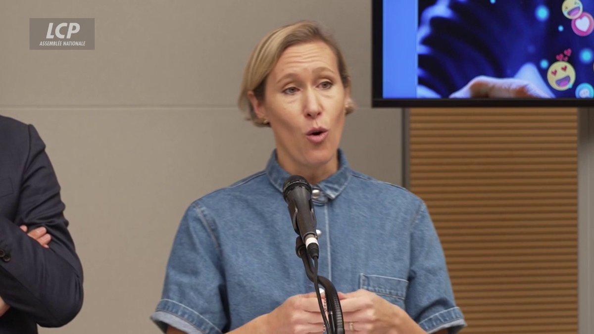 🔴🇫🇷 ALERTE INFO | Par le biais de la commission Tiktok, la députée Laure Miller (Macroniste) plaide pour créer "un délit de négligence parentale numérique".