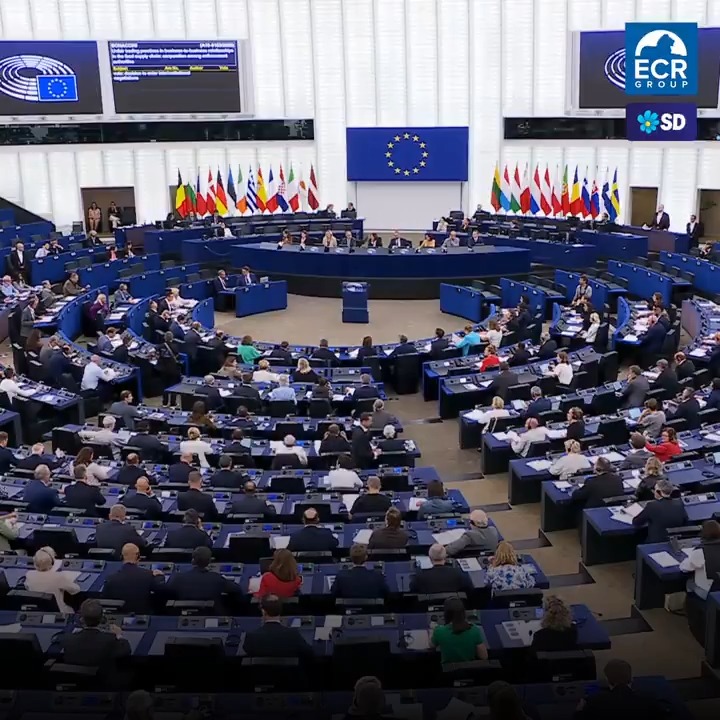 RIP Charlie Kirk Unfortunately, the lefty Chair did not allow us to honor his memory. European Parliament