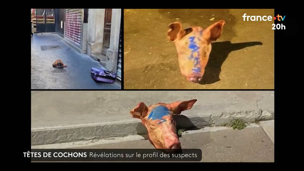 ☪🇫🇷 "C'était deux personnes étrangères ne parlaient pas français" Têtes de cochons devant des mosquées : nous avons recueilli le témoignage de l’éleveur normand qui les a vendues aux 2 suspects. #JT20h