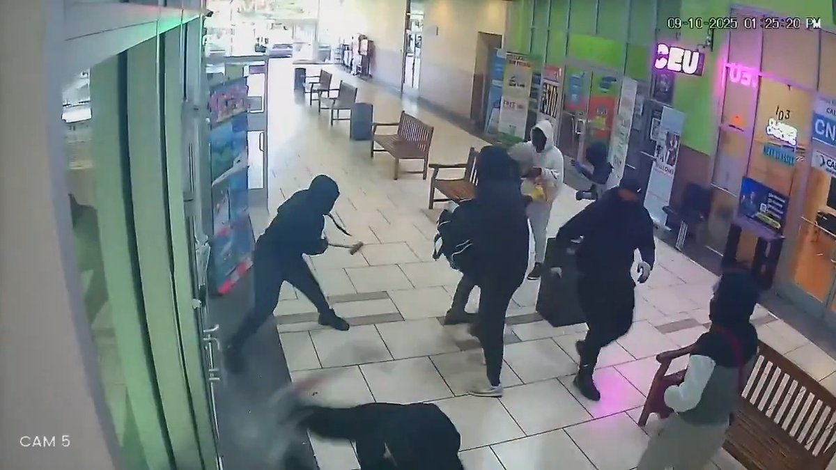 Group of criminals attempt a smash and grab robbery in California but the store owner opens fire on them and they scatter like roaches. Arm yourselves accordingly... #CityLife #SanJose #Milpitas #crime #decay #FAFO #learning #education #2nd #2A #democrats #urban
