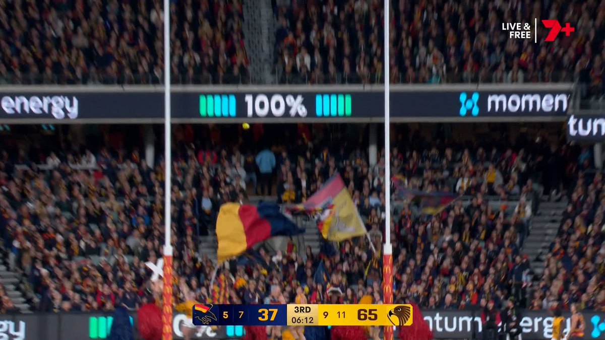 IT SYNCED UP WITH THE ADVERTISING 😮‍💨 #AFLFinals
