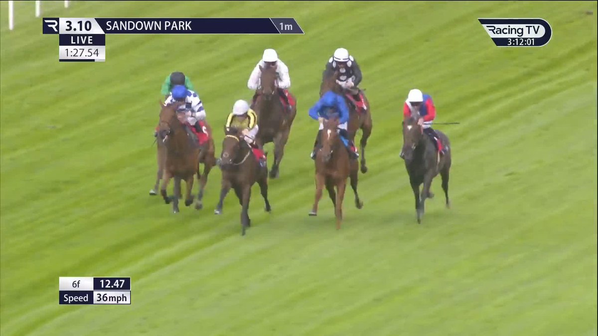 A birthday winner for David Menuisier 🇬🇧🇫🇷🇪🇺🌍 🥳 A successful debut for Sea The Storm (Sea The Stars) under Silvestre De Sousa in the Pravha British EBF Maiden Fillies' Stakes Sandown Park ⛈️