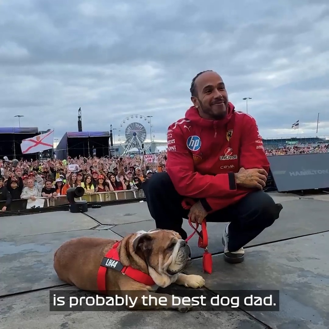 "I wish I was his dog" 🤣 Our drivers answer hilarious questions about each other in the 2025 F1 Yearbook - watch now on our YouTube channel! 📺 #F1