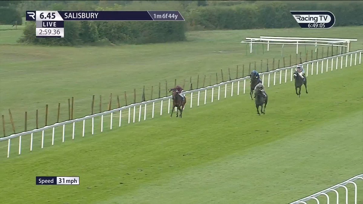 😍 €1.4million purchase Palladium makes all in the Weatherbys Limited Persian Punch Conditions Stakes for John & Thady Gosden 💪 Salisbury Racecourse | Billy Loughnane