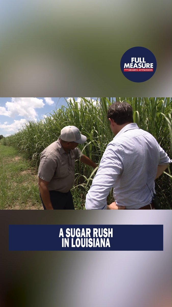 American sugarcane farmers welcome presidential endorsement. Where to watch this Sunday: