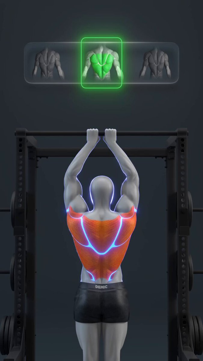 Pull-Up Form Check: Are You Doing Them Correctly?