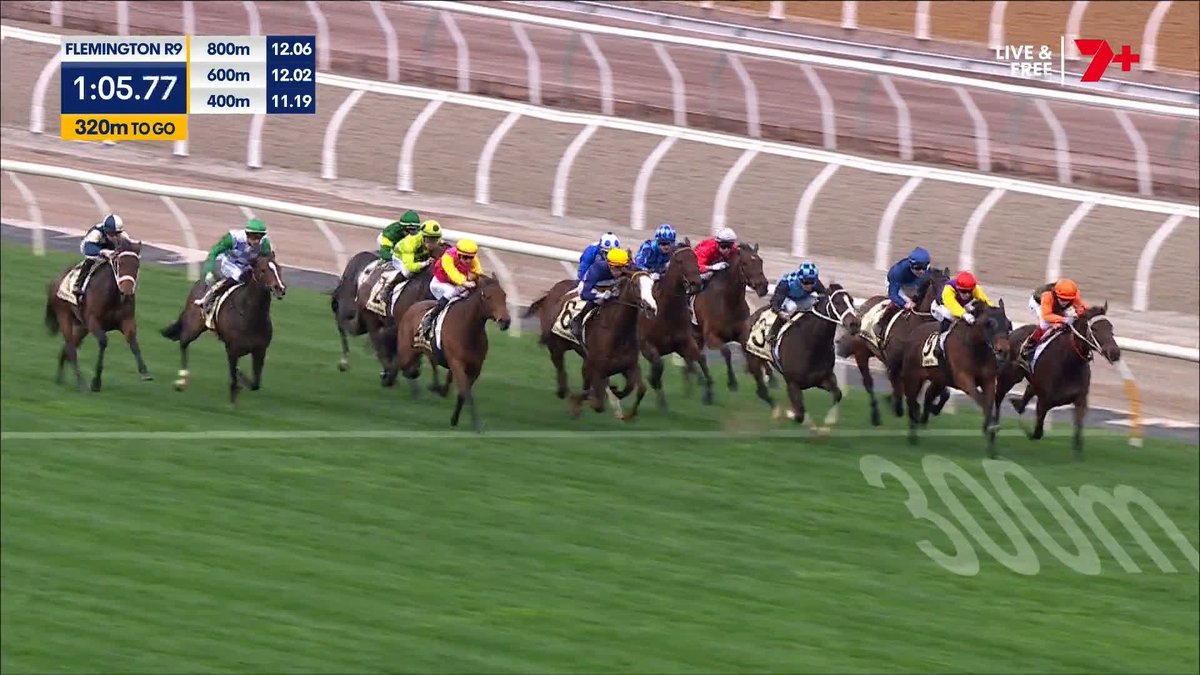 🇯🇵 母父はハーツクライ、母日本産馬の牝馬が重賞連勝! 🇦🇺 1400mのG2・レッツイロープS。ジェームズ・マクドナルド騎手が騎乗、4歳牝馬のラズーラが重賞3勝目をゲット。 母はラグナアズーラ。日本では8戦1勝、引退後に豪州へ輸出されて繁殖入りしました。 #競馬 #海外競馬