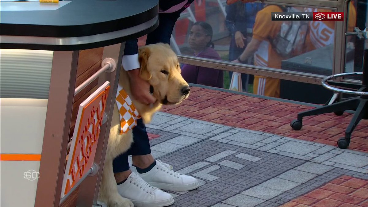 Peter is rocking an orange and white bandana this week at Tennessee 🧡 College GameDay | Kirk Herbstreit