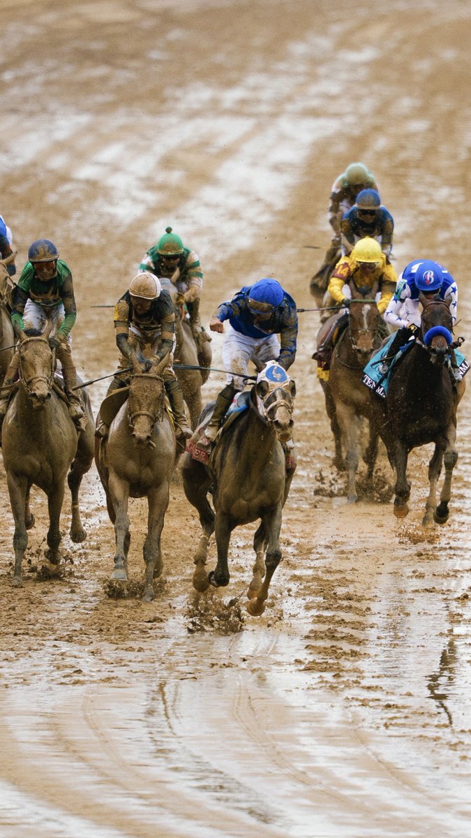 The Road to the 152nd Kentucky Derby begins TODAY! Here's how they qualify for the Kentucky Derby ⤵️ 🌹