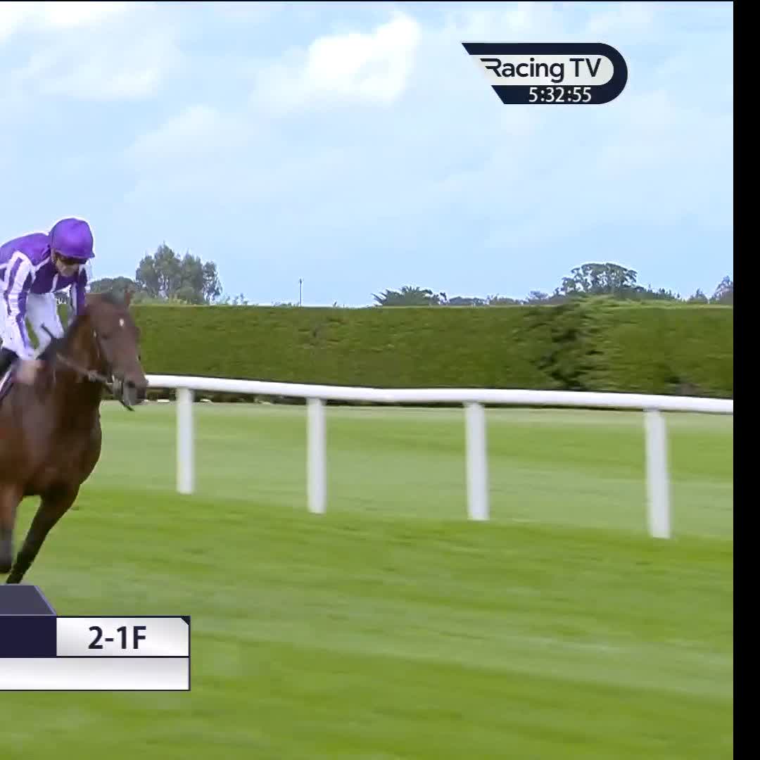 Even by his standards, quite a day for Aidan O'Brien. 13 and counting now in the Royal Bahrain Irish Champion Stakes!