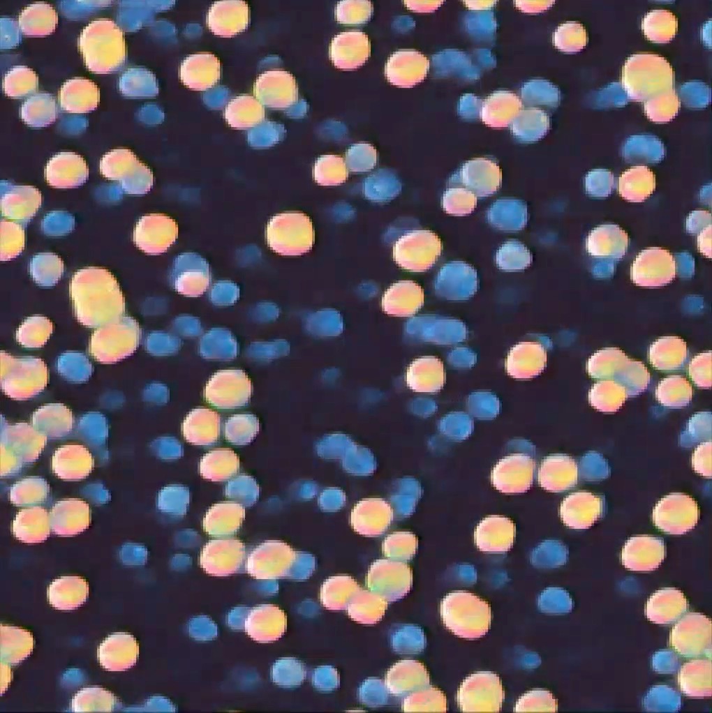 Even if disturbed, the textures made by building blocks called neural cellular automata have the ability to heal themselves. By understanding how simple components form complex systems, scientists could theoretically coax bodies to regenerate missing limbs.