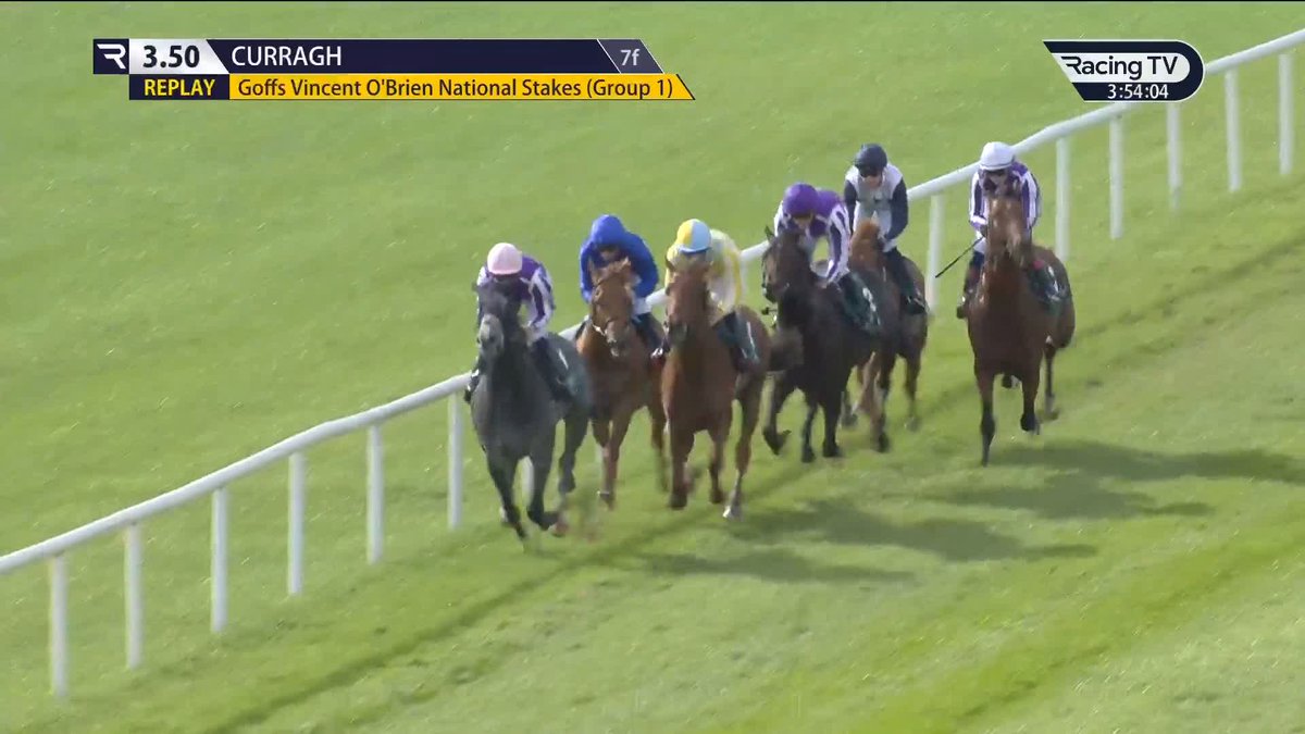🗣️"The smallest horse in the race has chinned the biggest horse in the race." Ruby and Gary review an epic renewal of the Goffs Vincent O'Brien National Stakes The Curragh Racecourse