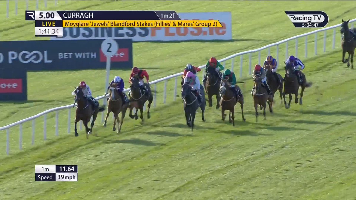 Blimey .... 👀 Jessica Harrington's 𝐁𝐚𝐫𝐧𝐚𝐯𝐚𝐫𝐚 dominates from the front in what looked a competitive renewal of the Moyglare Stud ''Jewels'' Blandford Stakes The Curragh Racecourse 🧨