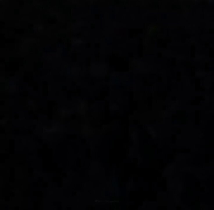 الصورة الحقيقة بلسان سيّدنا...