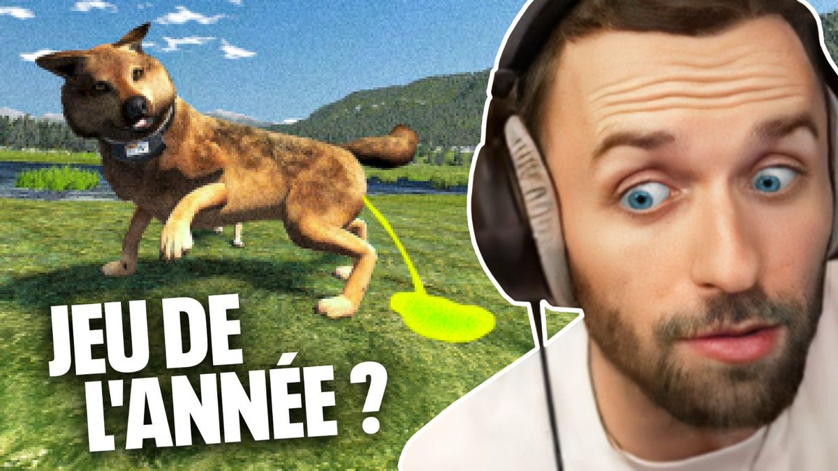 C'EST LE MEILLEUR JEU DE L'ANNÉE (WolfQuest: Anniversary Edition)