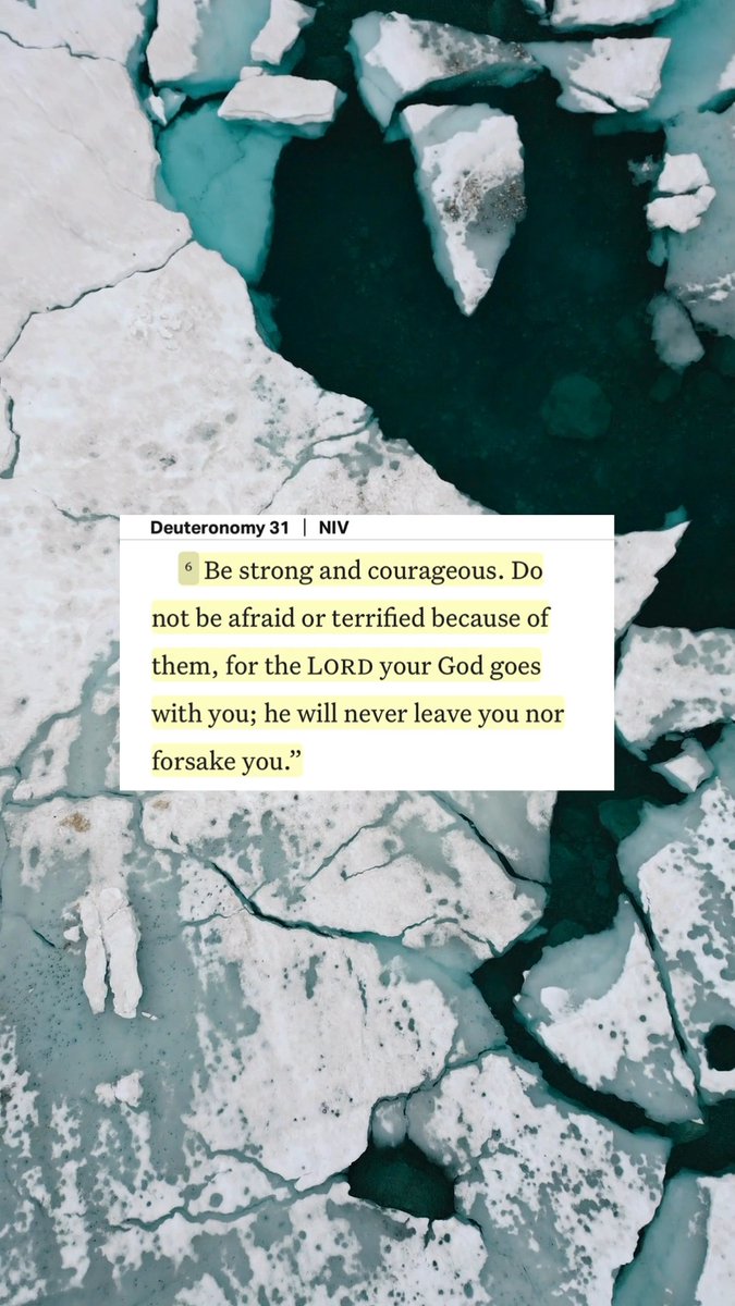 Deuteronomy 31:6