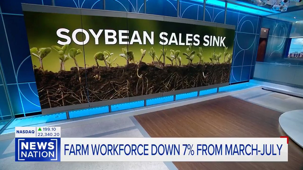"Trump's tariffs have created a drop in sales of various agricultural exports, including soybeans. Data shows the US is losing out on billions of dollars in purchases from China, which spent over $3 billion on soybeans in the second quarter of 2024. So far China has spent $0 this year."