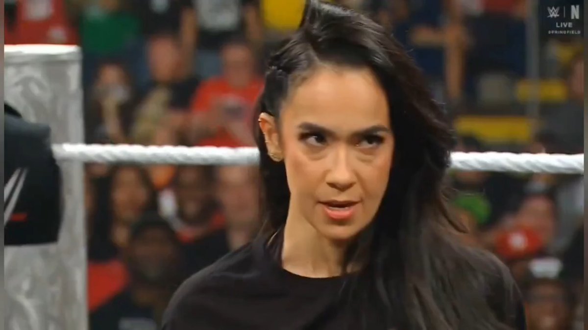 🚨| A compilation of AJ Lee slapping people for 57 Seconds straight....